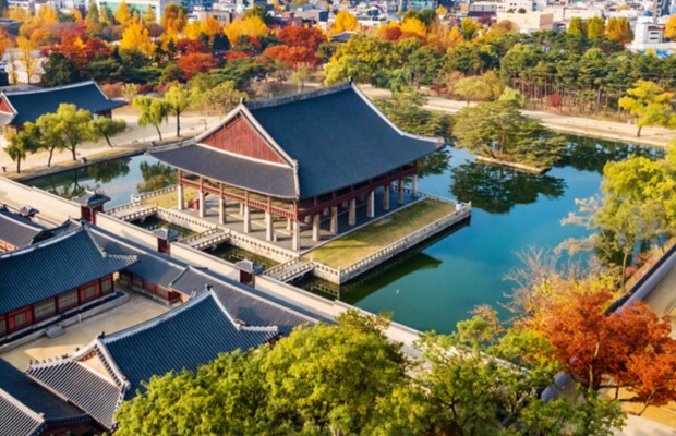 Cung điện Gyeongbokgung m&ugrave;a thu l&aacute; v&agrave;ng