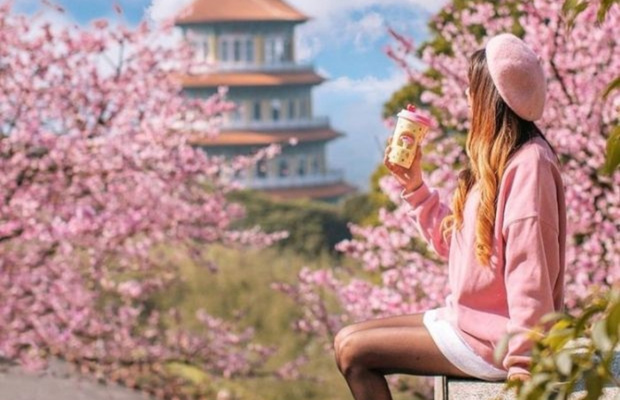 Trang phục nhẹ nh&agrave;ng ph&ugrave; hợp m&ugrave;a xu&acirc;n Đ&agrave;i Loan 