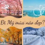 Đi Mỹ Mùa Nào Đẹp? Lịch Du Lịch 4 Mùa Chi Tiết