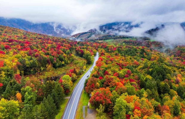 rừng l&aacute; phong Vermont