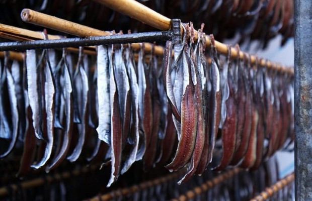 c&aacute; thu kh&ocirc;