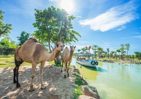 VinWonders Nam Hội An - khu vui chơi giải tr&iacute; gần Đ&agrave; Nẵng đẳng cấp.