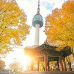 Du lịch mùa hè Hàn Quốc có gì? Top những trải nghiệm hot nhất