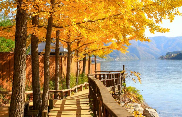 đảo Nami v&agrave;o m&ugrave;a h&egrave; mang một vẻ đẹp căng tr&agrave;n nhựa sống