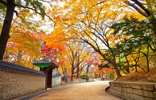 m&ugrave;a thu ở pohang