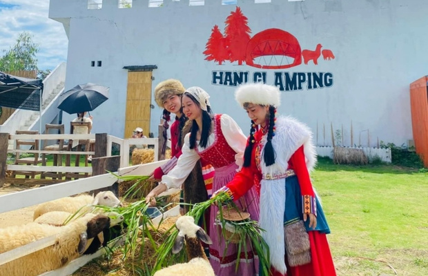 thăm trang trại cừu hani glamping