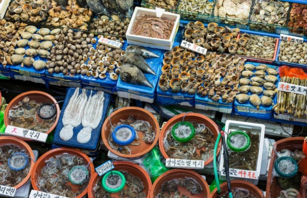 Hải sản tươi sống