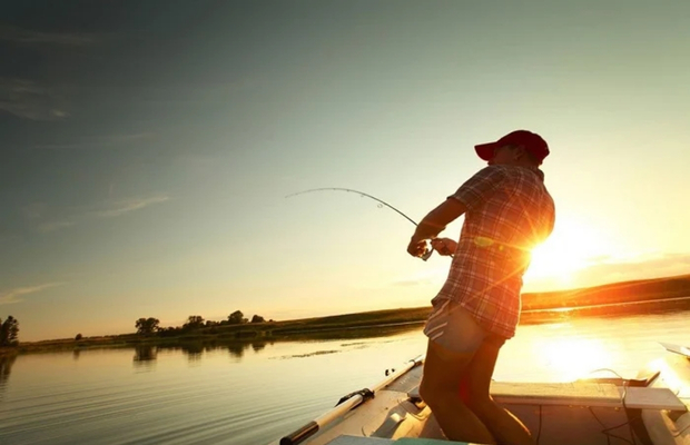 c&acirc;u c&aacute; hồ xanh