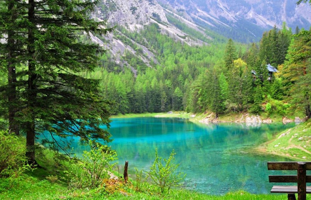 hệ sinh th&aacute;i hồ xanh