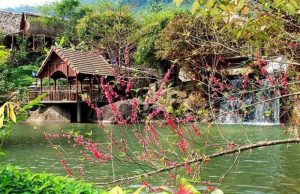 Khu du lịch Suối Hoa Đà Nẵng: Tiên cảnh giữa lòng đại ngàn