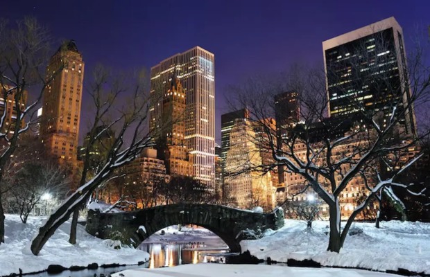 m&agrave;u đ&ocirc;ng new york