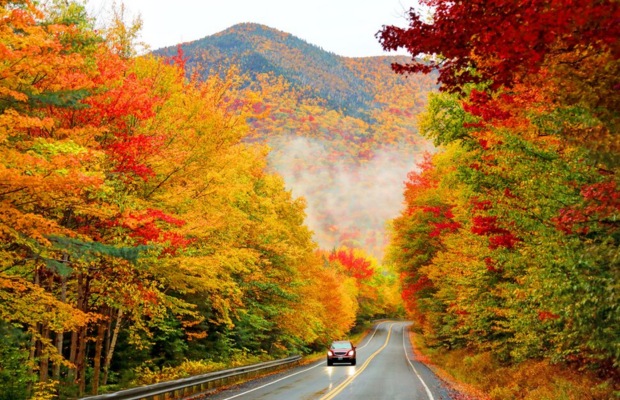 m&ugrave;a thu l&aacute; v&agrave;ng mỹ