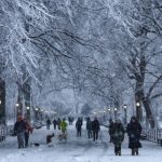 Kinh Nghiệm Du Lịch Mỹ Mùa Đông Cho Chuyến Đi Hoàn Hảo