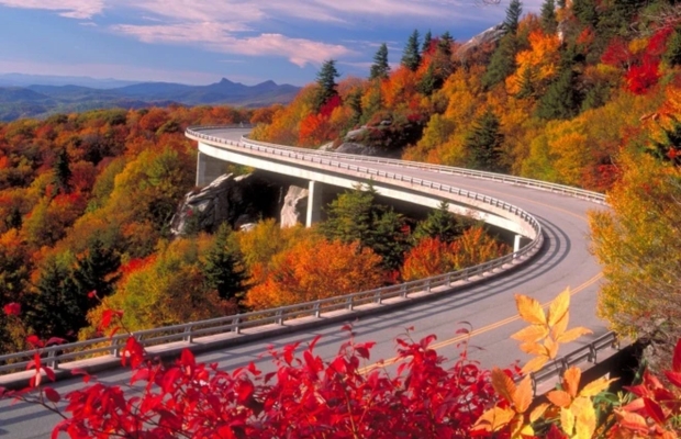 m&agrave;u thu nước mỹ