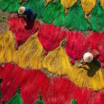 Khám phá Làng chiếu Cẩm Nê: Di sản văn hóa trăm năm xứ Quảng