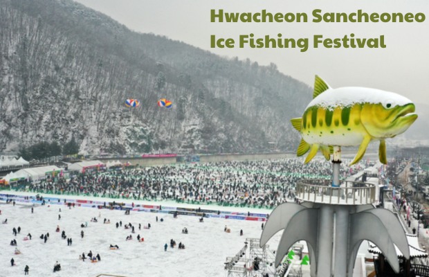 Lễ hội câu cá hồi trên băng Sancheoneo Hwacheon có gì hấp dẫn? 