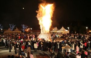 Lễ hội lửa Jeju Hàn Quốc: Cẩm nang trải nghiệm văn hóa rực rỡ