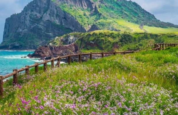 Kh&aacute;ch du lịch trải nghiệm tour du lịch Jeju H&agrave;n Quốc trọn g&oacute;i