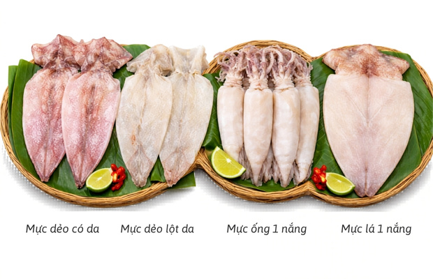 C&aacute;c loại mực 1 nắng phổ biến 