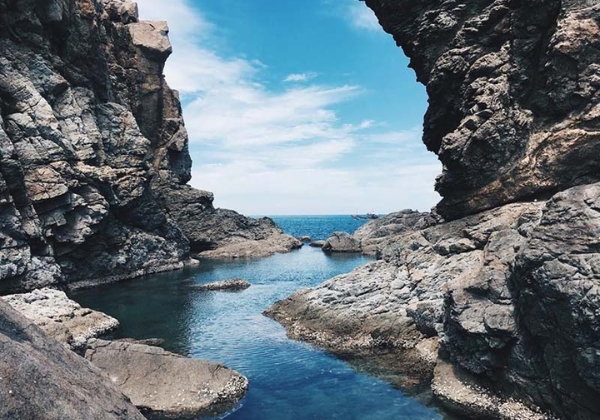 mũi ngh&ecirc; sơn tr&agrave;