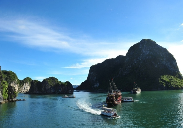 một ng&agrave;y c&acirc;u c&aacute; tại mũi ngh&ecirc;