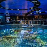New England Aquarium: Hành trình dưới đáy biển Boston