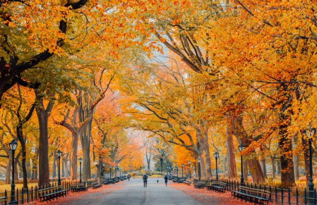 Central Park v&agrave;o m&ugrave;a thu