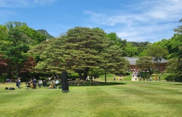 Du kh&aacute;ch tản bộ tại vườn Nokjiwon xanh mướt b&ecirc;n trong Nh&agrave; Xanh