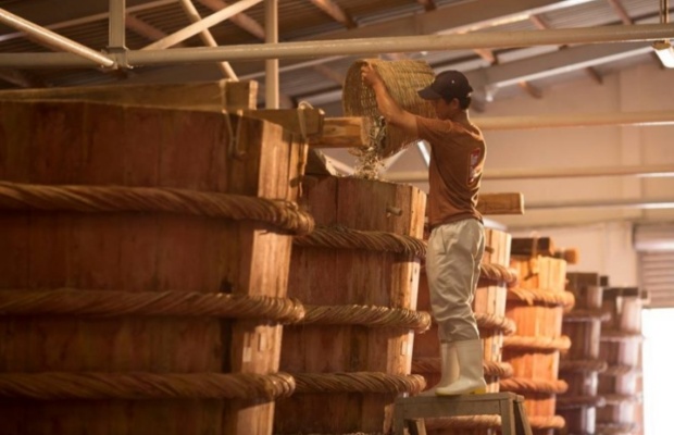 Quy tr&igrave;nh ủ chượp nước mắm Nam &Ocirc;