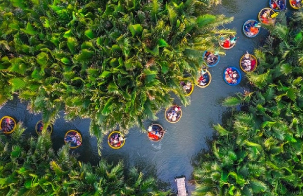 rừng dừa bảy mẫu