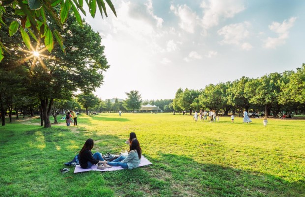 C&ocirc;ng vi&ecirc;n văn h&oacute;a v&agrave; nghệ thuật