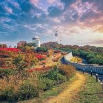 Rừng Seoul không gian xanh bình yên giữa lòng thủ đô