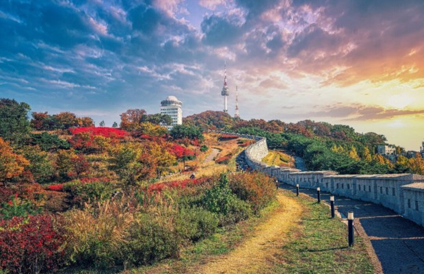 rừng seoul h&agrave;n quốc