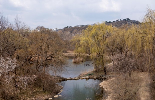 Vườn thực vật đầm lầy