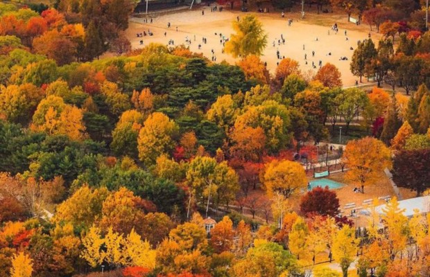 M&ugrave;a thu rừng l&aacute; đổi m&agrave;u rực rỡ