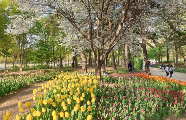 Tham quan vườn bướm v&agrave; c&aacute;nh đồng hoa