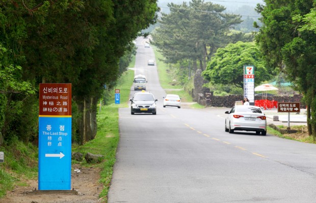 Con đường kỳ b&iacute; (Mysterious Road)