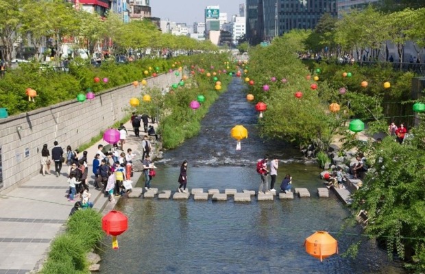 Hoa anh đ&agrave;o nở rộ b&ecirc;n bờ suối Cheonggyecheon H&agrave;n Quốc v&agrave;o m&ugrave;a xu&acirc;n