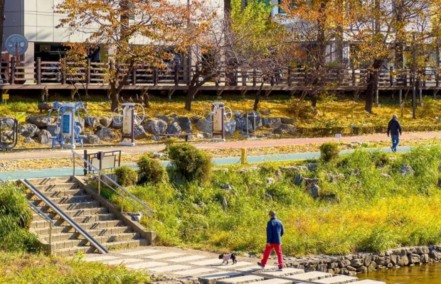 Sắc thu v&agrave;ng rực l&atilde;ng mạn dọc theo suối Cheonggyecheon Seoul