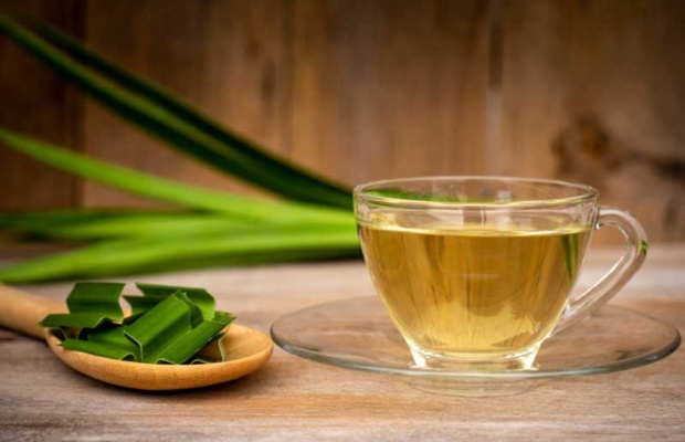 Lưu &yacute; khi mua tr&agrave; s&acirc;m dứa