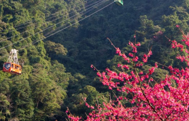 Wulai rực rỡ theo từng m&ugrave;a trong năm