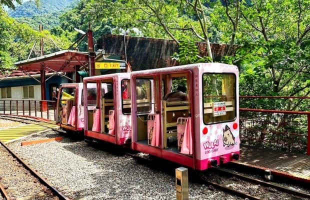 T&agrave;u gỗ Wulai len lỏi qua rừng xanh