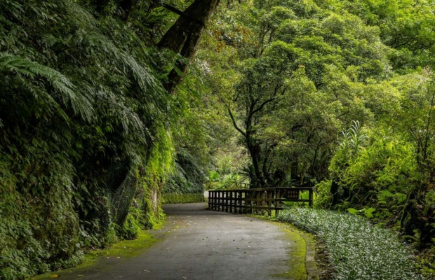 Rừng Neidong y&ecirc;n b&igrave;nh v&agrave; trong l&agrave;nh