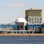 Khám phá Adventure Aquarium: Thủy cung hàng đầu New Jersey