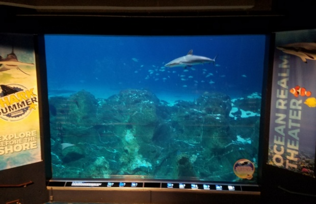 Bể chứa khổng lồ 760.000 gallon nước tại Thuỷ cung Th&aacute;m hiểm (Adventure Aquarium).

