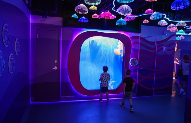 Khu Kaleidoscope Cove (khai trương 6/2025) tại Adventure Aquarium