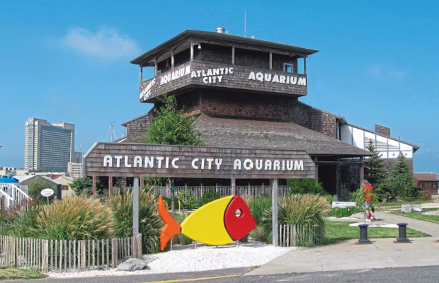 Atlantic City Aquarium