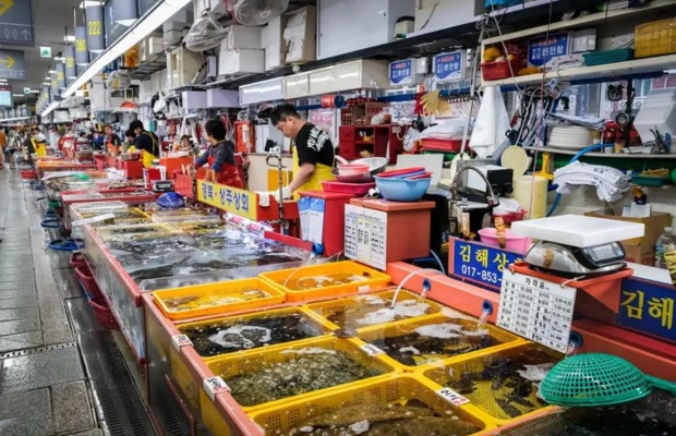Hải sản tươi sống tại chợ c&aacute; Jagalchi Busan H&agrave;n Quốc