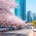 Kinh Nghiệm Du Lịch Busan Hàn Quốc: Ăn Gì, Chơi Đâu, Check-in Ở Đâu?