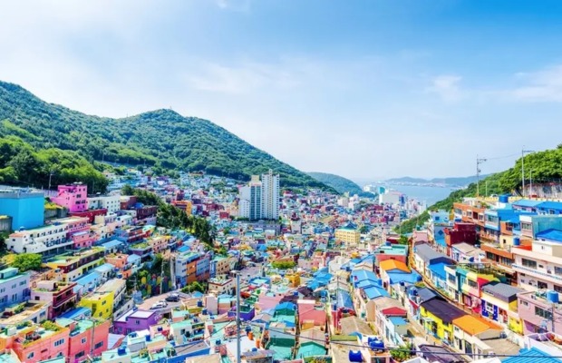 To&agrave;n cảnh l&agrave;ng văn h&oacute;a Gamcheon tại Busan H&agrave;n Quốc